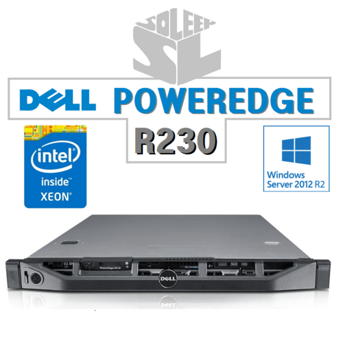 PowerEdge R230 /  E3-1270v5 8GB 1TB*2 W2012 R2