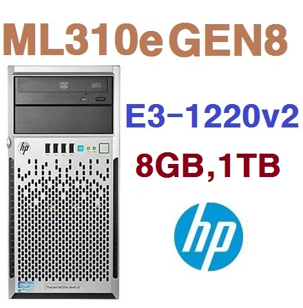 HP정품서버 ProLiant ML310e G8 E3-1220v2 8GB 1000GB