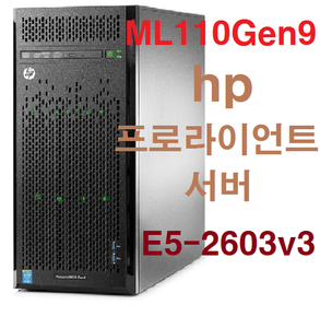 HP프로라이언트서버 ML110 Gen9 E5-2603v3 777160-371